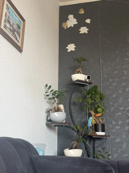 Wohnungstausch – 2-Zimmer-Wohnung gegen 3-Zimmer-Wohnung — photo 1